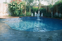 Carefree Pools - Custom Swimming Pools