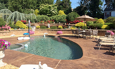 View Services Image