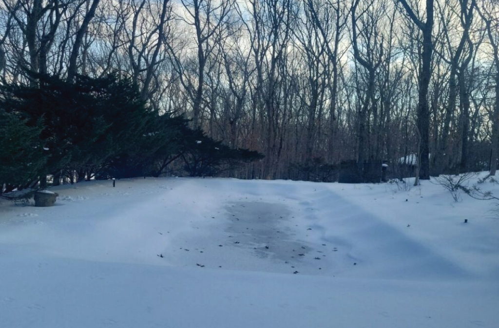 The Long Winter’s Nap